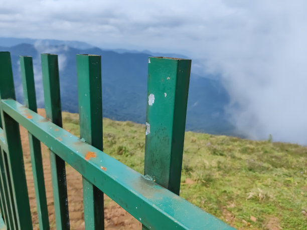 近距离观察金属栅栏美丽的雾蒙蒙的自然草甸背景图片下载
