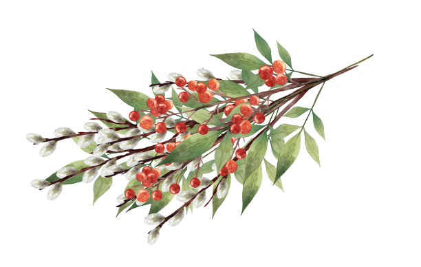 水彩猫咪柳树天竹图片下载