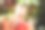 Cute Japanese girl in Kimono in Autumn nature 七五三图片下载