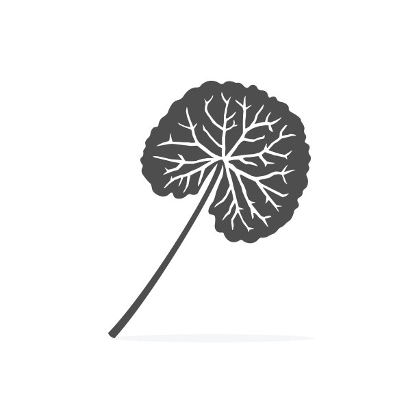 积雪草山药图标健康药草矢量插图。图片下载