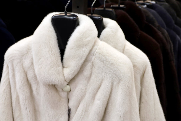 商店里衣架上的一排皮大衣图片下载