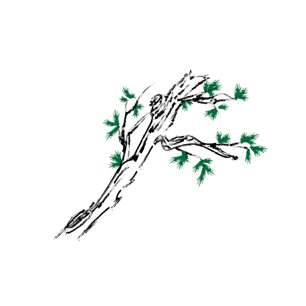 国画松树松枝图片下载