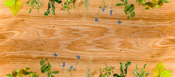 木制背景与花卉图案。图片下载