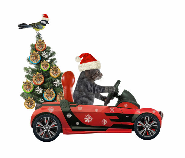 猫灰开车带着老虎圣诞树图片下载