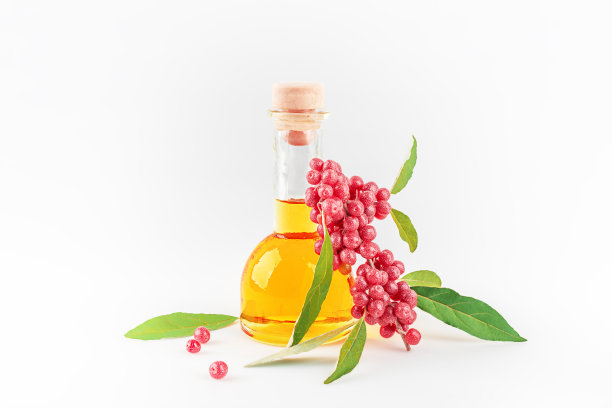 天然油和鲜红浆果枝。图片下载