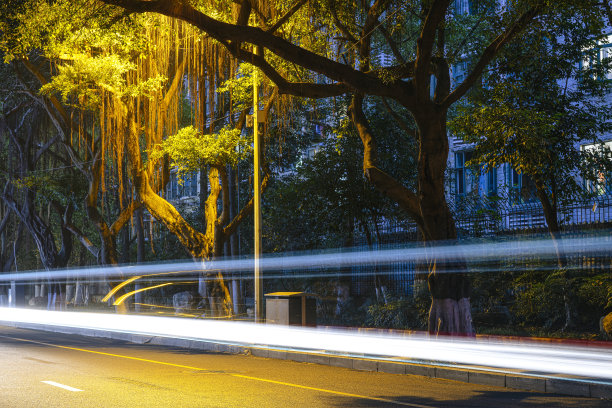 成都夜晚的道路和现代街灯图片下载