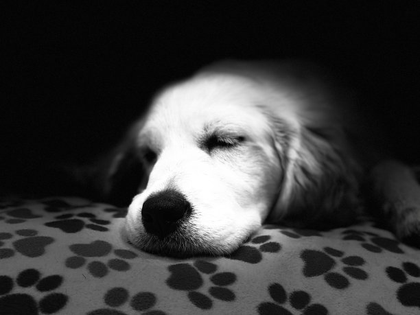 别惹麻烦图片下载