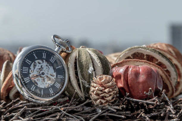 时间对我们做了什么，我们会变老，变干，就像地球上所有的生物一样。图片下载