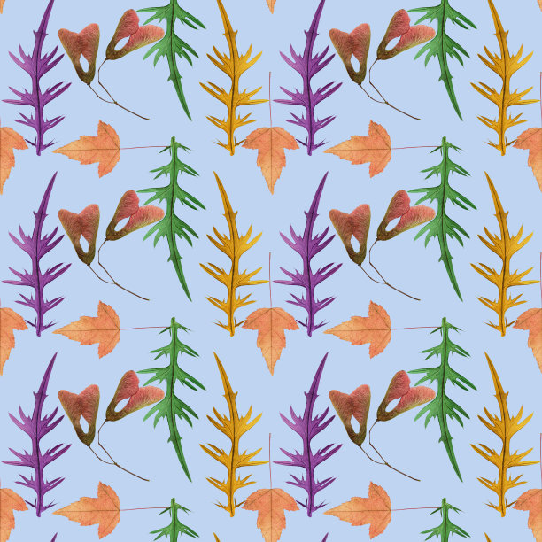 枫叶，蓟叶。插图，花朵的纹理。用于连续复制的无缝模式。花的背景，照片拼贴纺织品，棉织物。用于壁纸，封面，打印图片下载