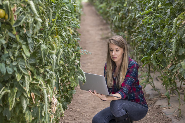 农民在他的田地里控制着收成图片下载