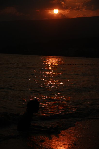 一个对大海充满热情的孩子图片下载