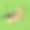 当代艺术拼贴小婴儿，男孩的超人穿着斗篷孤立在米色背景图片下载