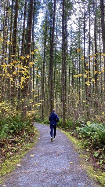 在树林里奔跑的老人图片下载