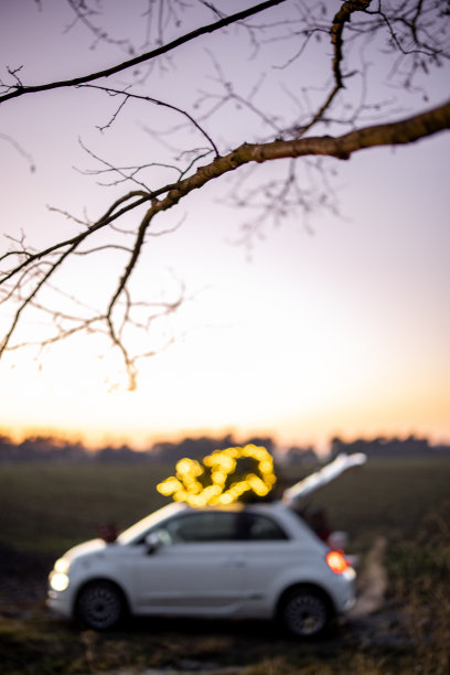 车和圣诞树在屋顶上的自然图片下载