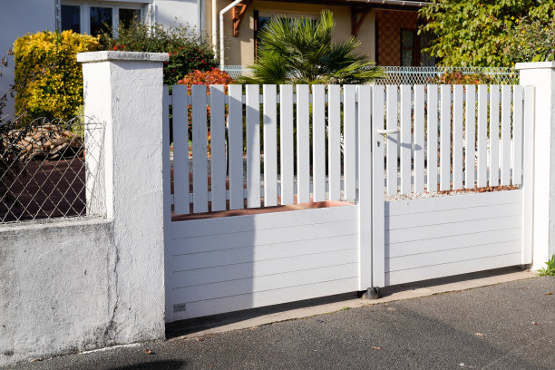 白色经典街道的家大门板条门户的郊区房子图片下载