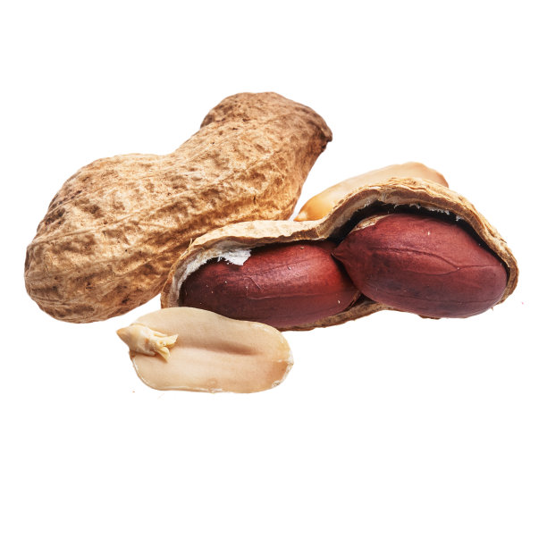 白色背景上的一堆花生图片下载