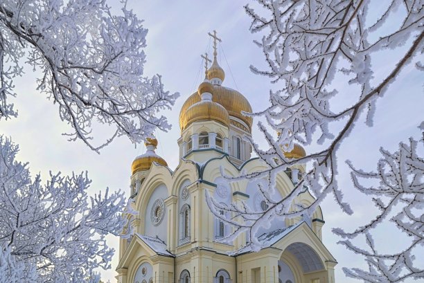 冬天的恩典。图片下载