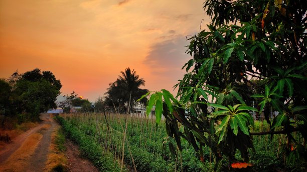 农场的观点图片下载