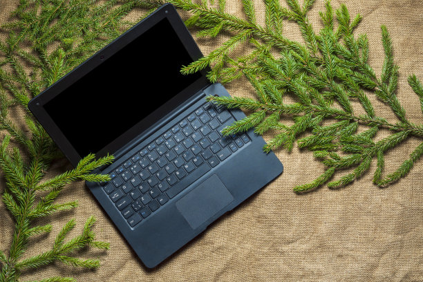 圣诞节自由职业者的工作空间图片下载