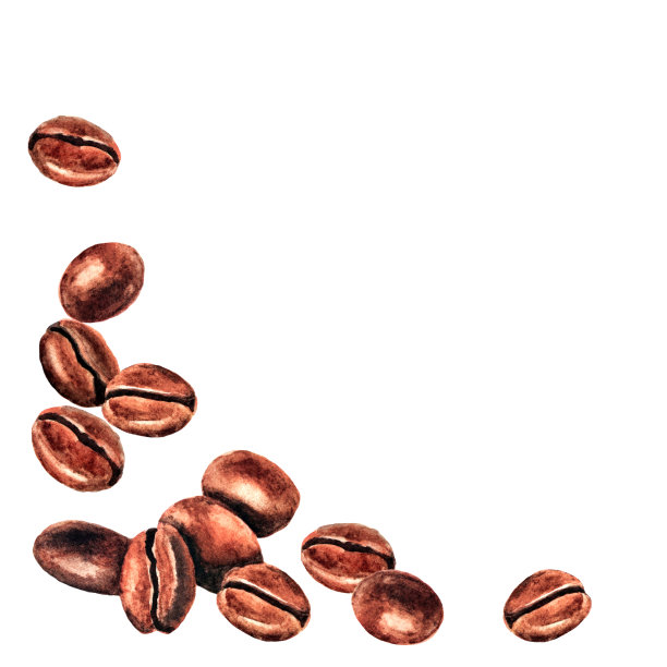 用咖啡豆做的框架。水彩图片下载