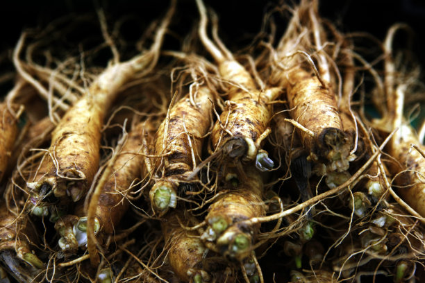 桔梗，笛德和人参图片下载