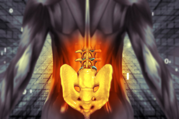 腰背部疼痛。医学精准三维图图片下载