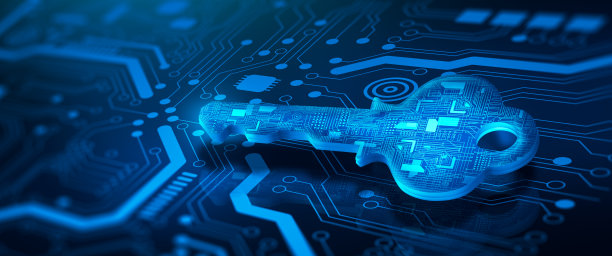 保护数据个人信息的安全或私钥。隐私、数据保护和内部安全概念。3D插图。图片下载