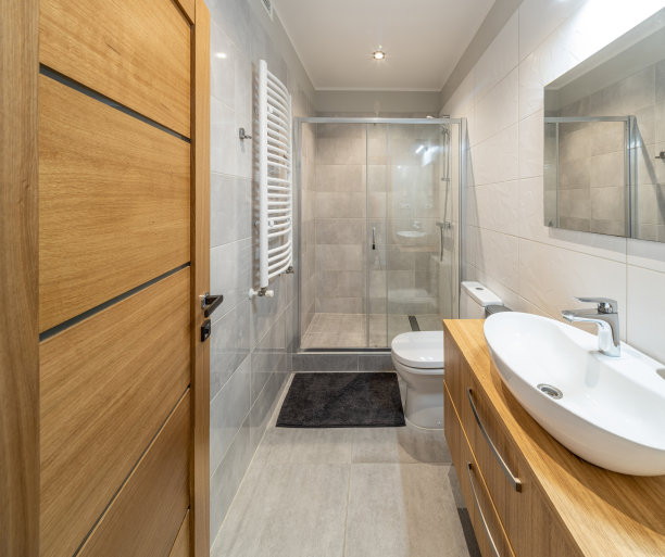 豪华公寓浴室的现代内饰。白沉。图片下载