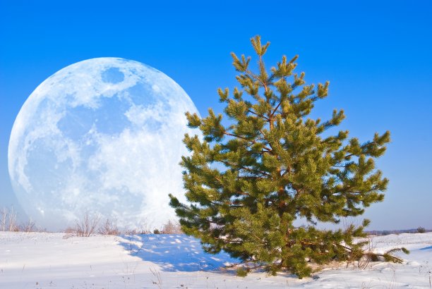 巨大的月亮在冬季的平原上升起图片下载