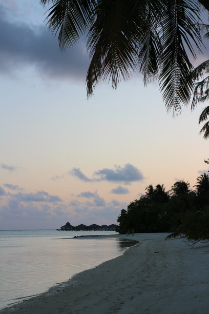 日落时分，在马尔代夫的印度洋海岸上，从棕榈树的树枝下看到的景象，白色的沙子和蔚蓝的海水图片下载