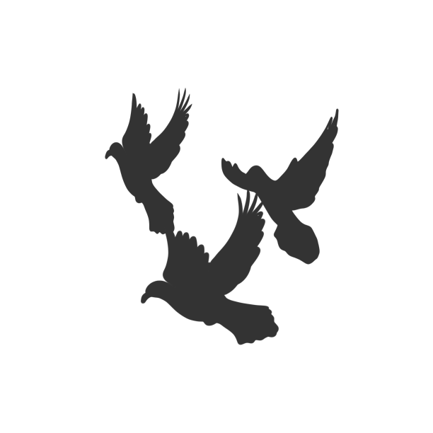 黑色飞鸟剪影图片下载