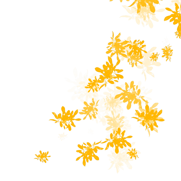 飘落树叶插画素材图片下载