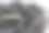 文字NFT(不可替代的代币)写在黑色闪光背景的木方块上。概念非功能性测试中的不可替换令牌连接。图片下载
