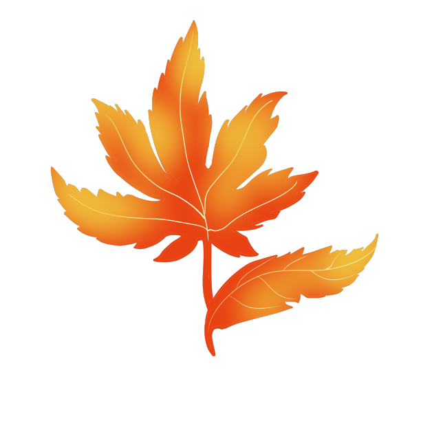 黄色枫叶植物图片下载