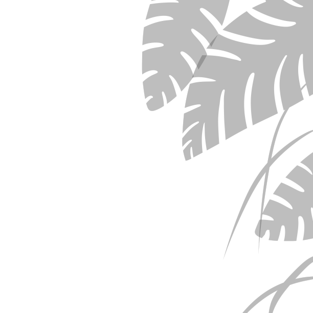 树叶影子阴影图片下载