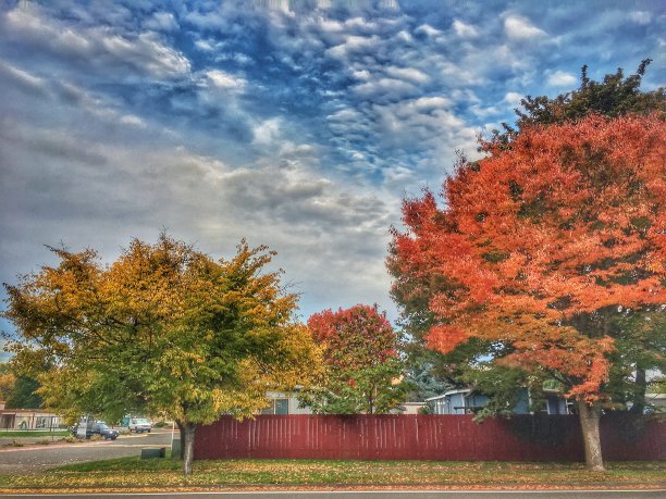 尤金市的秋天图片下载