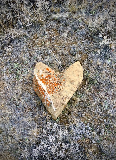 自然之爱图片下载