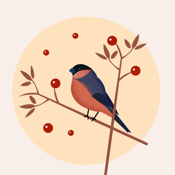 红腹灰雀在树枝上图片下载