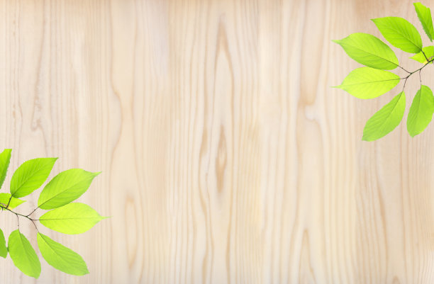 背景材料与木板和树叶。图片下载