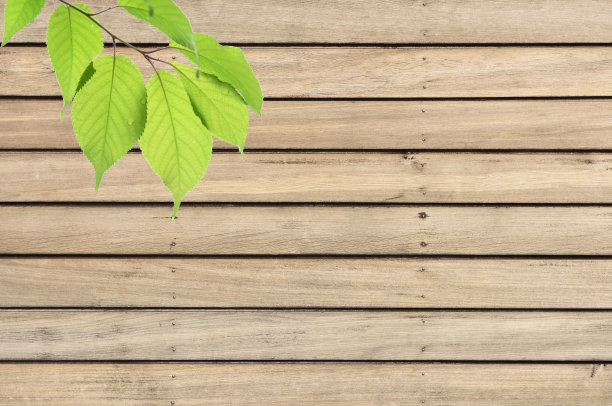 背景材料与木板和树叶。图片下载