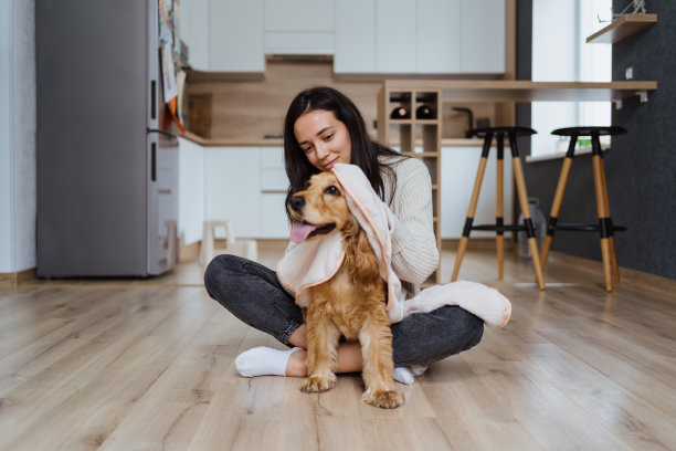 关于照顾和和狗狗玩耍的愉快照片图片下载