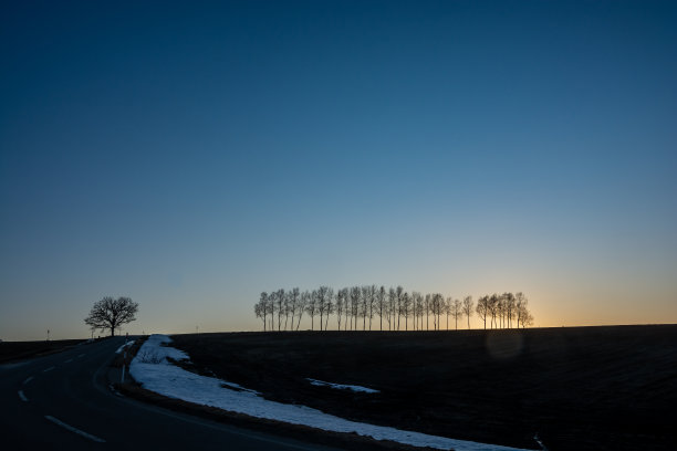 美丽的早春黄昏的天空和冬天的树林图片下载