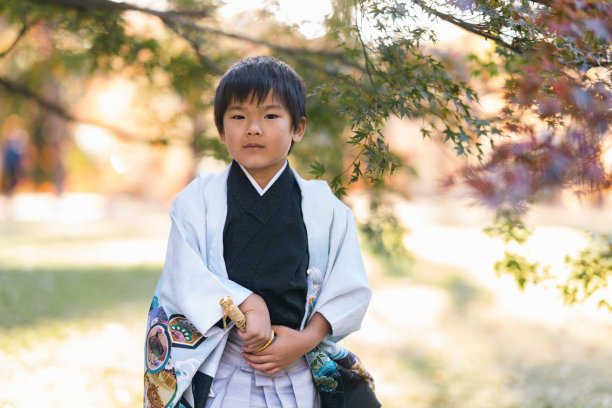 日本男孩穿着和服的肖像为传统的日本庆祝活动称为shichi go san图片下载