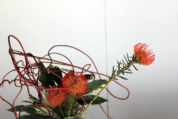 插花艺术图片下载
