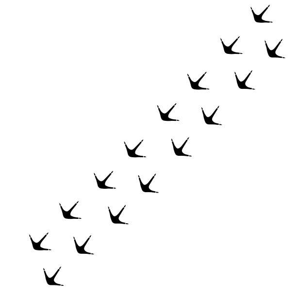 动物和鸟类的足迹、足迹。脚印印在白色上。图片下载