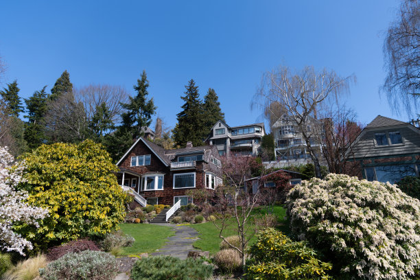 当代村舍居住区，住宅建筑图片下载