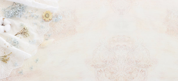 背景白色刺绣精致的蕾丝织物和干花图片下载