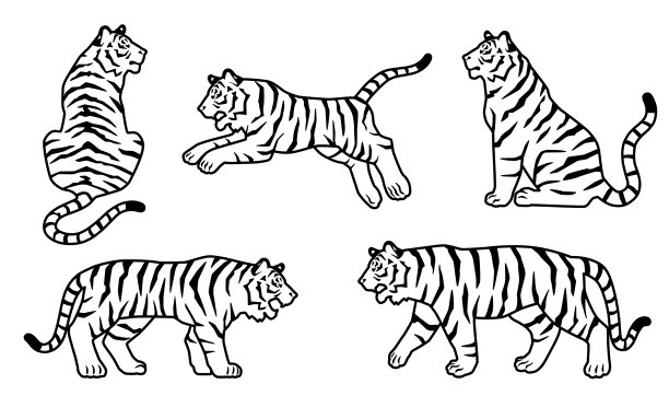 插图材料的老虎运动剪影或线条画。轮廓收藏集。图片下载
