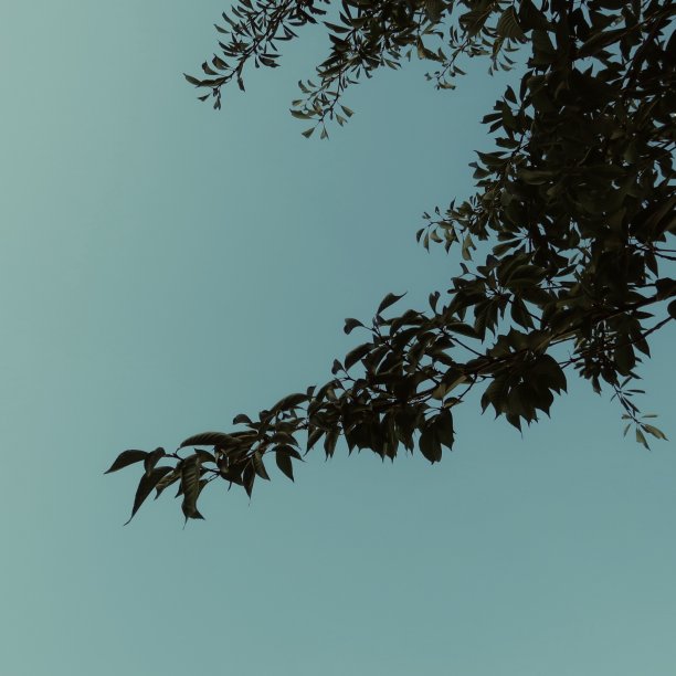 自然接触图片下载