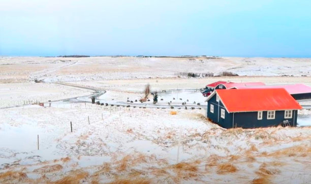 冰雪覆盖的地区和美丽的自然景观图片下载